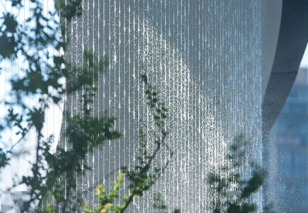 绯雨骑士团