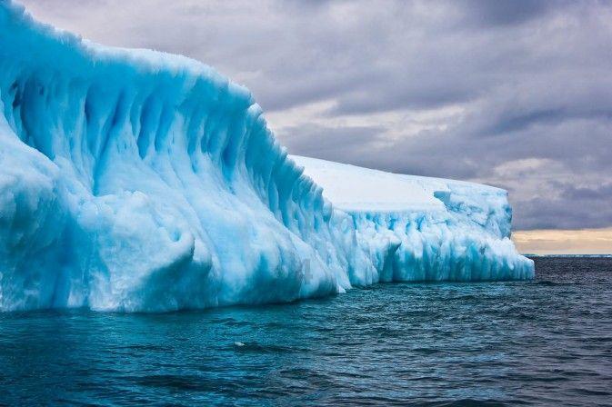 众星欢乐迎腊八：刘诗诗、杨紫秀腊八粥，张馨予欢跃雪地
