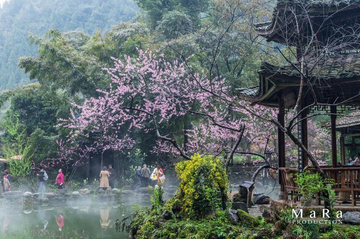 明朝一共多少年游戏画面