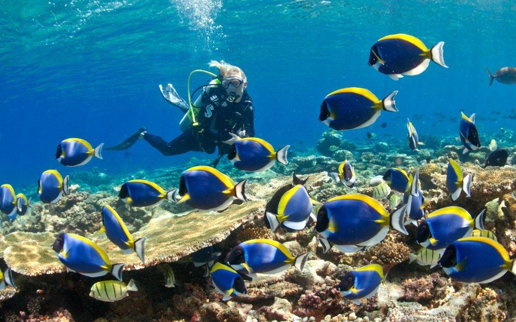 海绵宝宝寻珍宝