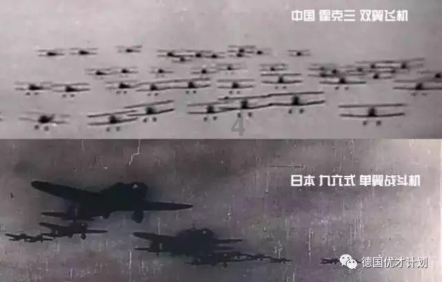 拯救受伤的猫