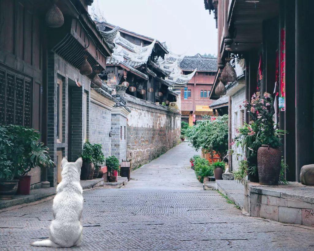 付强代表:以特色产业激发乡村发展新活力