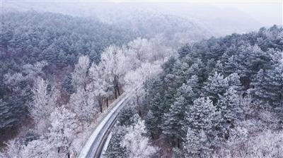 逃离森林湖畔